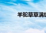 羊驼草草满级属性（羊驼草草）