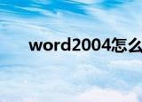 word2004怎么插页码（word2004）