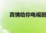 真情给你电视剧在线观看（真情给你）