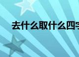 去什么取什么四字成语（去什么取什么）