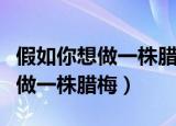 假如你想做一株腊梅阅读短文答案（假如你想做一株腊梅）