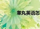睾丸英语怎么读（睾丸 英语）