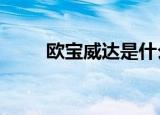 欧宝威达是什么车（欧宝威达2 0）
