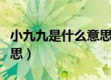 小九九是什么意思网络语言（小九九是什么意思）
