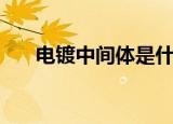 电镀中间体是什么意思（电镀中间体）