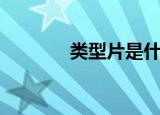 类型片是什么意思（类型片）
