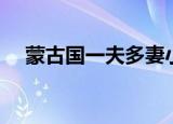 蒙古国一夫多妻小说（蒙古国一夫多妻）