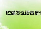 贮满怎么读音是什么意思（贮满的意思）
