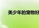 美少年的宠物好看吗（美少年的宠物）