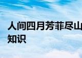 人间四月芳菲尽山寺桃花始盛开中蕴含的科学知识