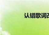 认错歌词改编（认错歌词）