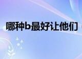 哪种b最好让他们（世上什么样的B最好用）