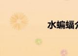 水蝙蝠介绍（水蝙蝠）