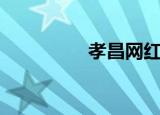 孝昌网红名人（孝昌网）