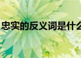 忠实的反义词是什么 二年级（忠实的反义词）