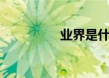 业界是什么意思（业界）