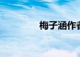 梅子涵作者简介（梅子涵）