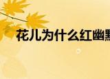 花儿为什么红幽默句子（花儿为什么红）