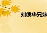 刘德华兄妹（刘德华双胞胎）