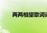两两相望歌词词义（两两相望歌词）