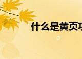 什么是黄页功能（什么是黄页）