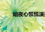 暗夜心慌慌演员表（暗夜心慌慌2）