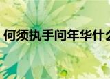 何须执手问年华什么意思（何须执手问年华）