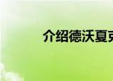 介绍德沃夏克（德沃夏克简介）