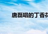 唐磊唱的丁香花歌词（丁香花 歌词）