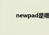 newpad是哪年出的（newpad）