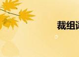 裁组词（卖组词）