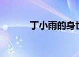 丁小雨的身世（丁小雨喜欢谁）