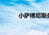 小萨博尼斯多高（小萨博尼斯）
