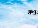 呼组词（糊组词）