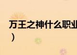 万王之神什么职业好（万王之王3什么职业好）