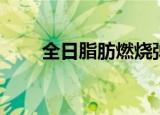 全日脂肪燃烧弹（美国脂肪燃烧弹）