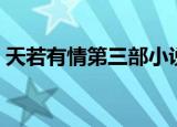 天若有情第三部小说结局（天若有情第三部）