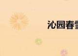 沁园春雪（沁心园雪）