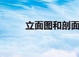 立面图和剖面图的区别（立面图）