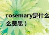 rosemary是什么意思的中文（rosemary什么意思）