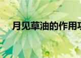 月见草油的作用功效（月见草油的作用）