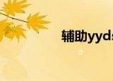 辅助yyds（yydnf辅助）