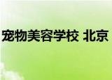 宠物美容学校 北京（北京若雯宠物美容学校）