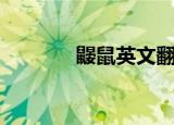 鼹鼠英文翻译（鼹鼠的英文）