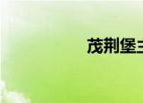 茂荆堡主人（茂荆堡）