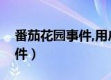 番茄花园事件,用户都在骂微软（番茄花园事件）