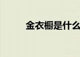 金衣橱是什么牌子（黄金的衣橱）