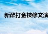 新醉打金枝修文演员（新醉打金枝演员表）