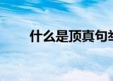 什么是顶真句举例子（什么是顶真）