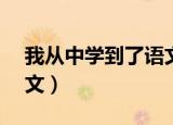 我从中学到了语文550字（我从 中学到了语文）